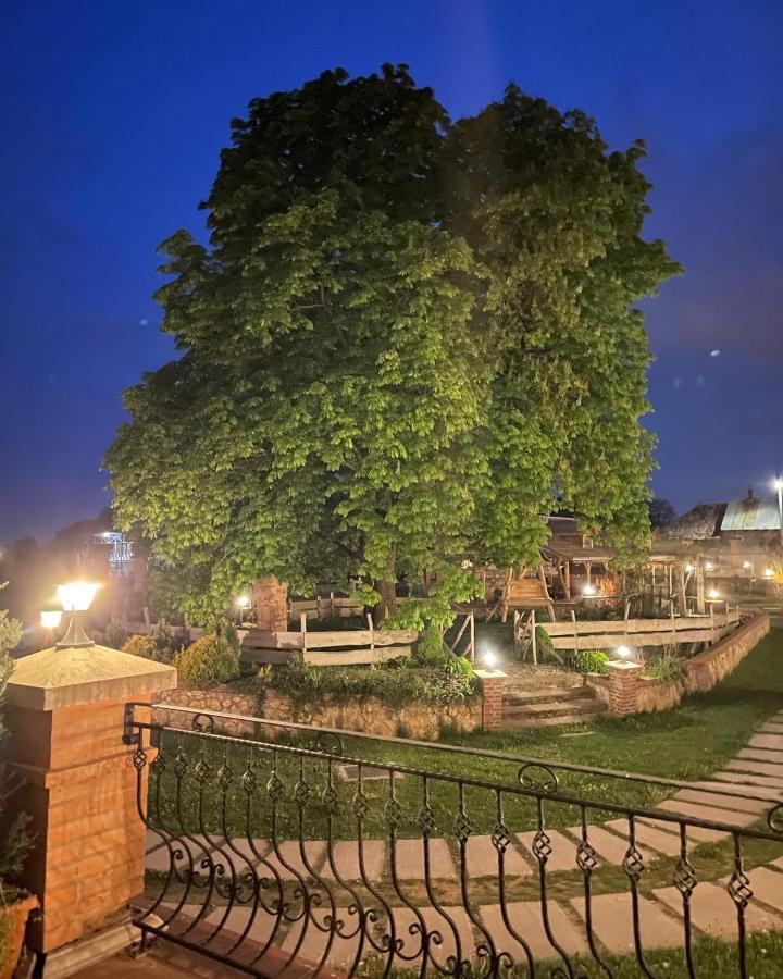 Kastely Grof Zichy Hotel Haniska Exterior photo